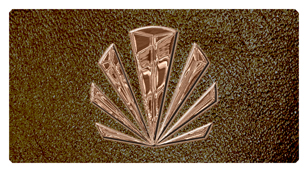 DSC700 602 BZ SH BR Bronze Sunburst Shimmer Brown Background